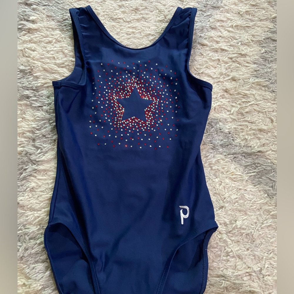 Plum Practice limited edition gymnastics leotard Adult Small